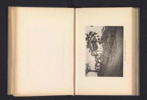 Avenue with melon trees at Kwamouth