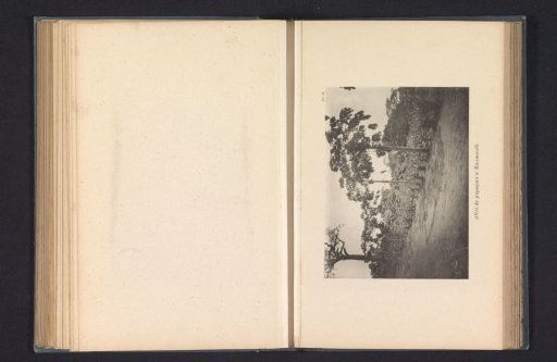 Avenue with melon trees at Kwamouth