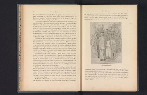 Photographic reproduction of a drawing, depicting a portrait of the three servants of Franz Thonner