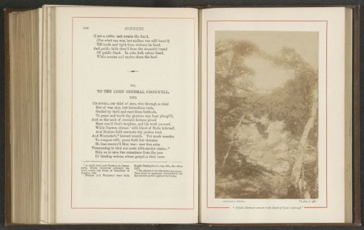 Landscape with a river, rocks and a forest