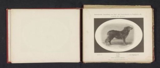 Collie Lord Göppingen II, winner of second prize at the International Exhibition of Hunting and Luxury Dogs in 1891
