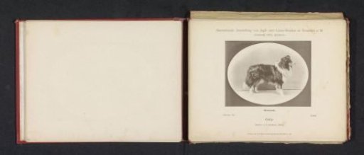 Collie Lord, winner of an honorary prize at the International Exhibition of Hunting and Luxury Dogs in 1891