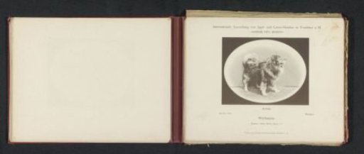 Keeshond Wecker, winner of a second prize at the International Exhibition of Hunting and Luxury Dogs in 1891