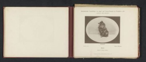 Keeshond Zabor, winner of an honorary prize at the International Exhibition of Hunting and Luxury Dogs in 1891