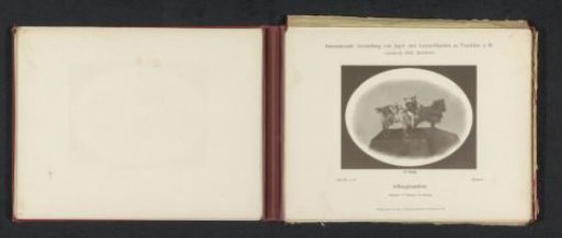 Affenpinscher Hansel, winner of a second prize at the International Exhibition of Hunting and Luxury Dogs in 1891