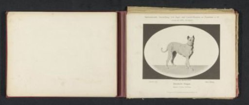 Great Dane Ella-Hansa, which won two prizes at the International Exhibition of Hunting and Luxury Dogs in 1891