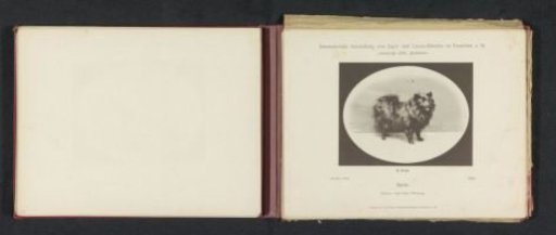 Keeshond Ami, who won second prize at the International Exhibition of Hunting and Luxury Dogs in 1891