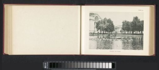 Man in a rowing boat feeding ducks at the World's Columbian Exposition in Chicago in 1893