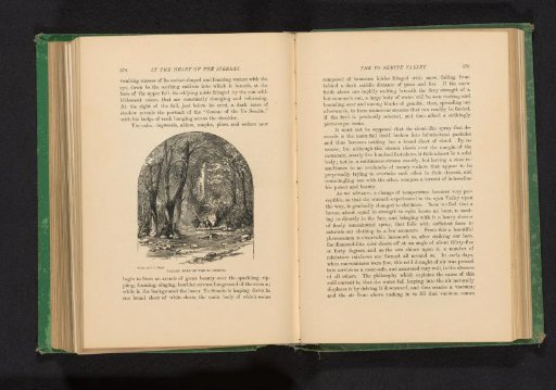 Two men on horseback in a forest