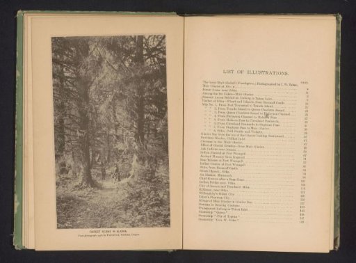 Two people in a forest in Alaska
