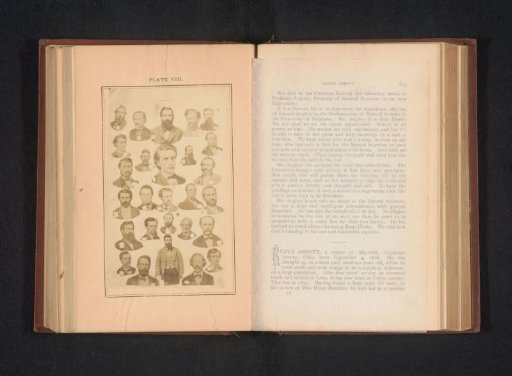 Photomontage of 27 American politicians