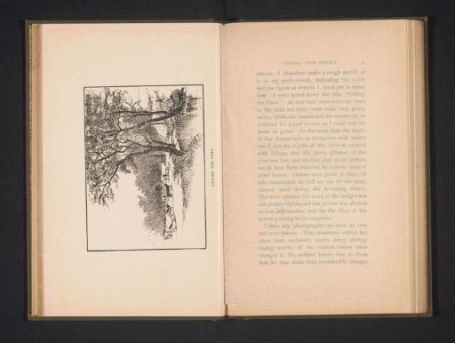 Photographic reproduction of a work with a herd of cows