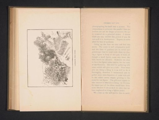 Photographic reproduction of a view of an unknown person picking roses
