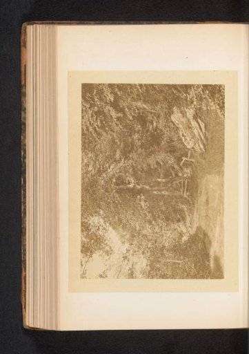 View of a country road in a forest