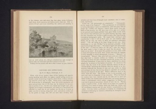 Photographic reproduction of a drawing, representing shrubbery