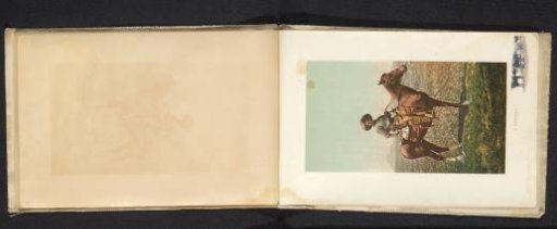 Portrait of an unknown cowboy on horseback