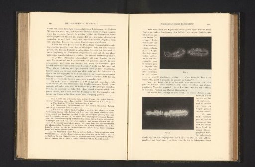 Representation of the process of making an electrography