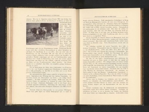 Child next to an ox cart
