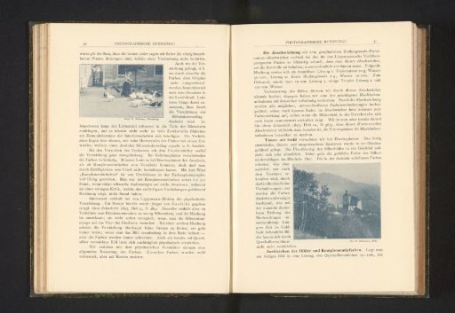 Woman driving geese and chickens in a courtyard