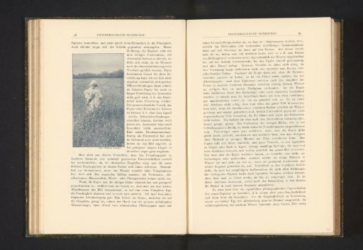Girl Picking Flowers in a Field