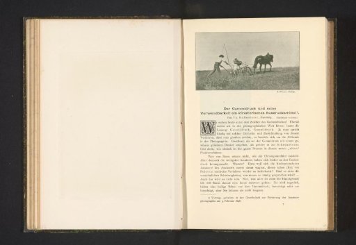 Peasant with a Horse Plough