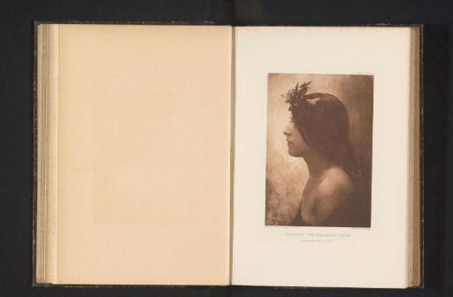 Portrait of an Unknown Woman