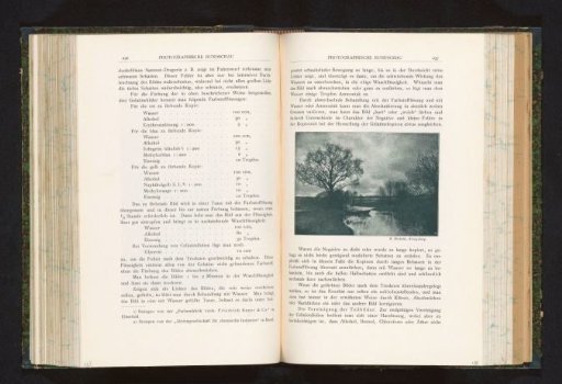 View of a stream and a tree
