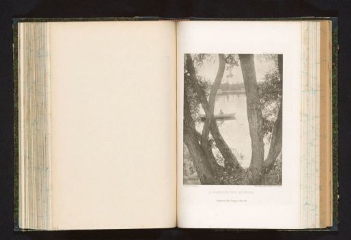 View through a lake with a rowing boat through tree trunks
