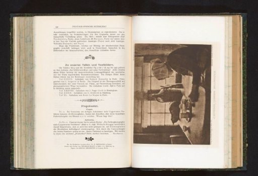 Portrait of an Unknown Woman Reading
