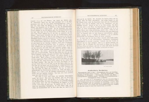 View of a waterway with trees on the bank