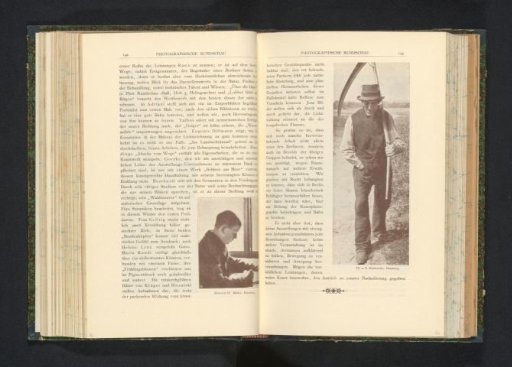 Peasant in the Field with a Sickle