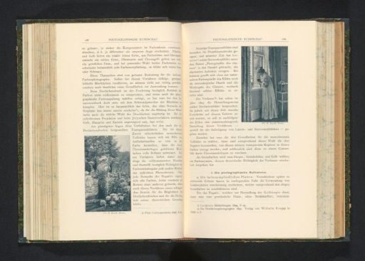 Portrait of an unknown woman with a cat by a window