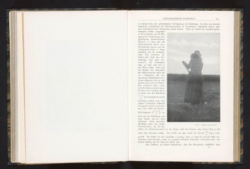 A Peasant Woman Working in the Field