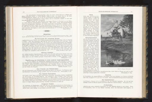 View of an Unknown Child by a Body of Water with Ducks and a House in the Background