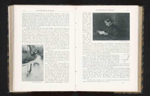 Portrait of an unknown woman reading