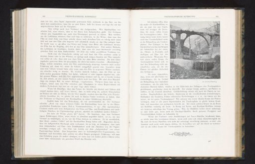 View of a Viaduct