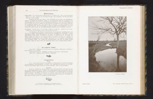View of a Landscape with Water and Trees