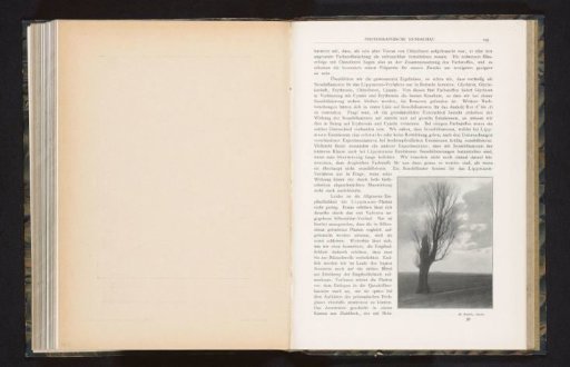 View of a tree in a field