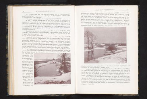 View of a winter landscape