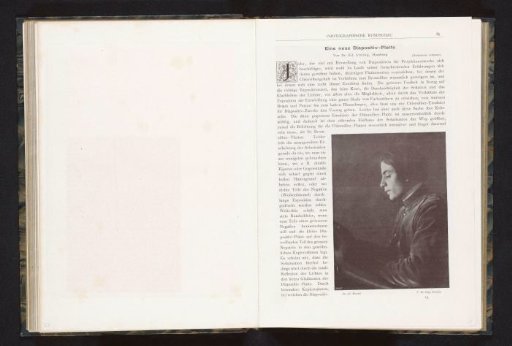 Portrait of an unknown person