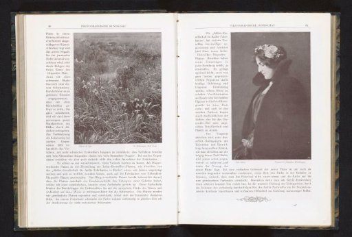 View of a field with flowers and water