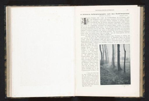 View of a forest path