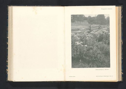 View of a Meadow with a Fence
