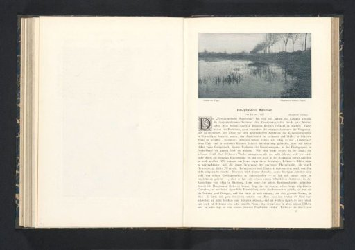 Water scene, with trees in the background