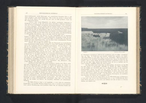Marshland
