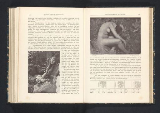 Portrait of an Unknown Nude Woman