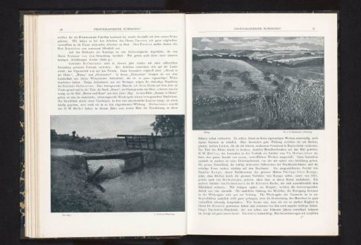 View of a small wooden bridge over a ditch