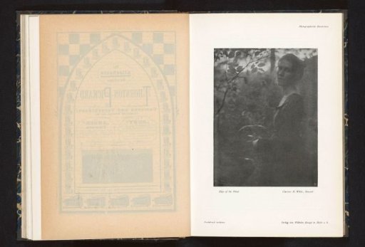 Portrait of an unknown woman before bushes