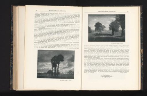 View of trees in a landscape