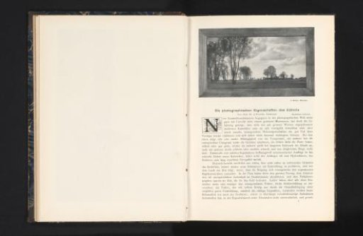 Framed view of a landscape with trees